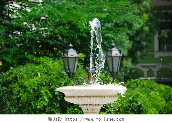 城市公园中的小装饰喷泉城市公园与一个喷泉
